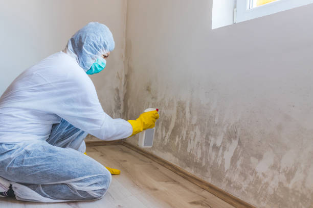 Licensed Mold Testing service in Cedar Park, TX - WQB Mold Removal