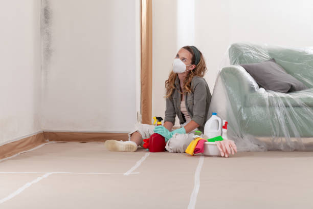 Reliable Mold Testing contractor in Cedar Park, TX by WQB Mold Removal